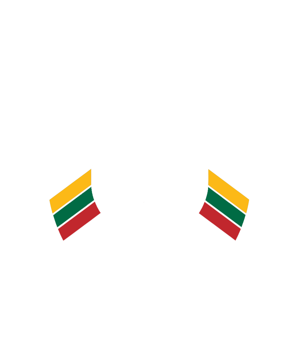 Valstybes sienos apsaugos tarnyba prie Lietuvos Respublikos vidaus reikalu ministerijos